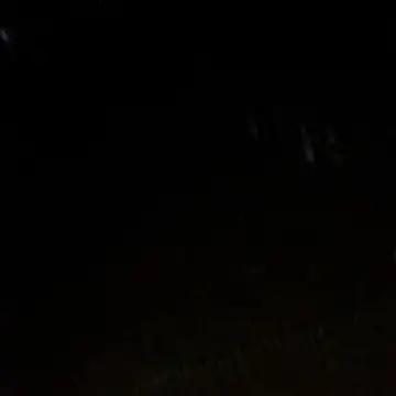 Gifttheskimaskboy online show from February 2026 01:22:02 AM