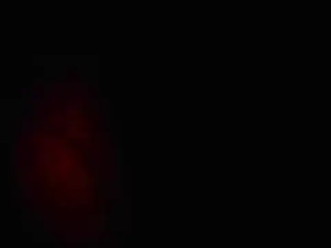 L0cKyseven77 online show from February 2025 10:48:02 AM