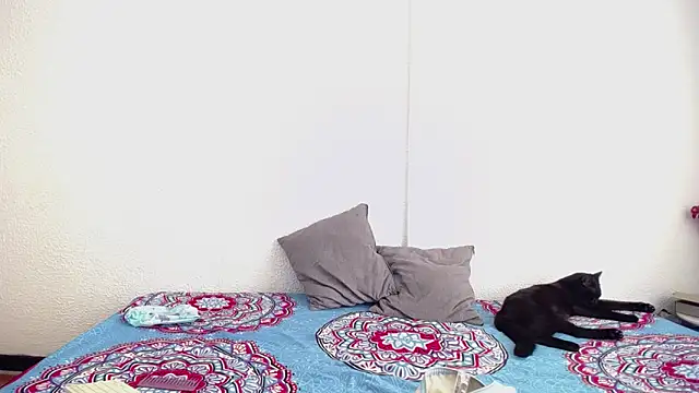  joanne and oliver  online show from September 2025 05:14:02 PM