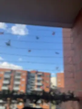 ValerieHilton online show from January 2025 09:45:01 PM