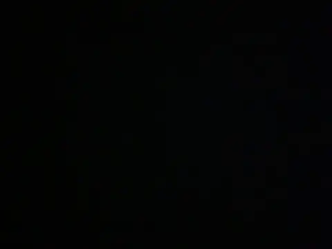 Polya01 online show from March 2025 11:52:01 AM