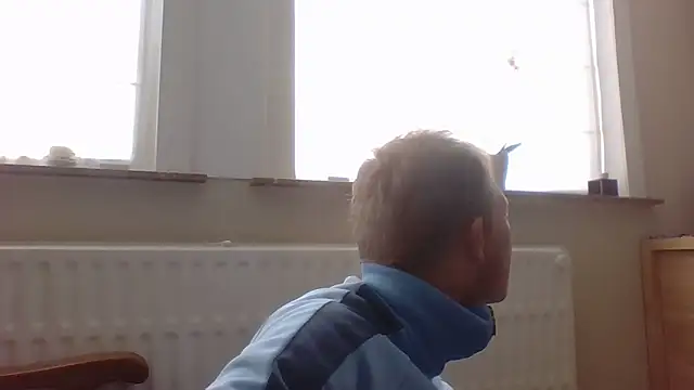 bertolini online show from October 2025 01:32:01 PM