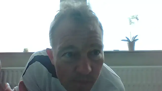 bertolini online show from May 2026 07:03:01 AM
