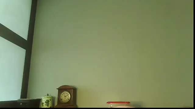 SexWorkerX online show from November 2025 08:13:02 PM