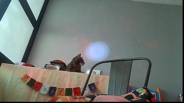 SexWorkerX online show from February 2026 06:50:02 PM