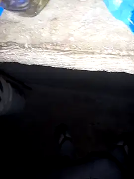 pujarteag online show from April 2026 05:51:02 AM