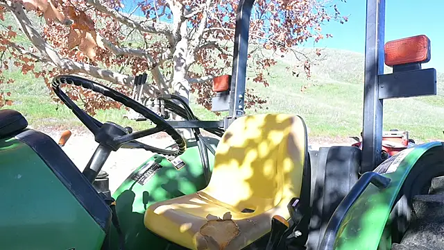 joeiandola online show from December 2025 08:49:02 PM