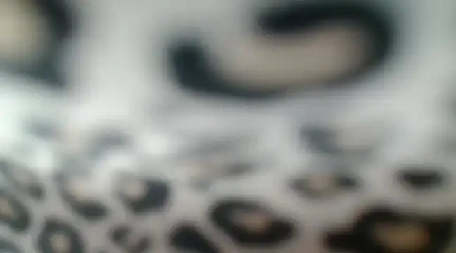 CrystalBrooke3x online show from January 2025 02:03:02 AM