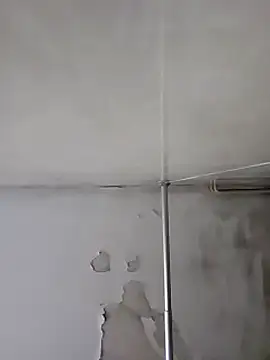 Snapshot of gordito_xx chatting on January 2025 06:03:01 AM gordito xx online show from January 2025 06:03:01 AM