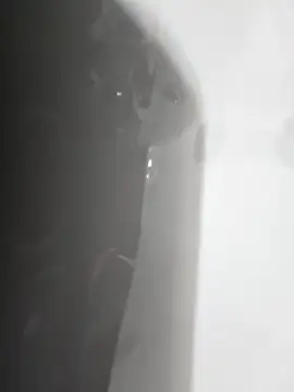 Snapshot of gordito_xx chatting on February 2025 03:47:01 PM gordito xx online show from February 2025 03:47:01 PM