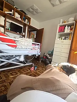 Snapshot of gordito_xx chatting on November 2025 11:49:02 AM gordito xx online show from November 2025 11:49:02 AM