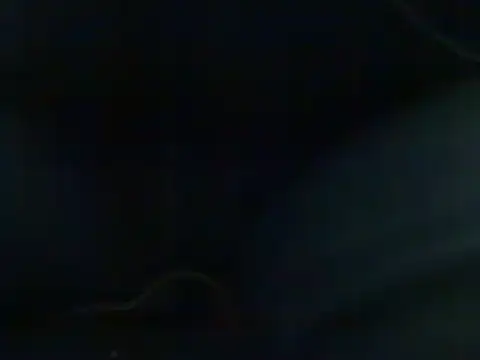 markluvskitty online show from February 2025 09:22:01 PM