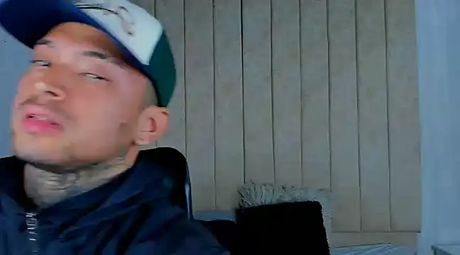 Stiven collins online show from December 2024 04:19:01 AM