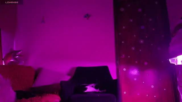 maryberry   online show from April 2026 04:38:02 AM