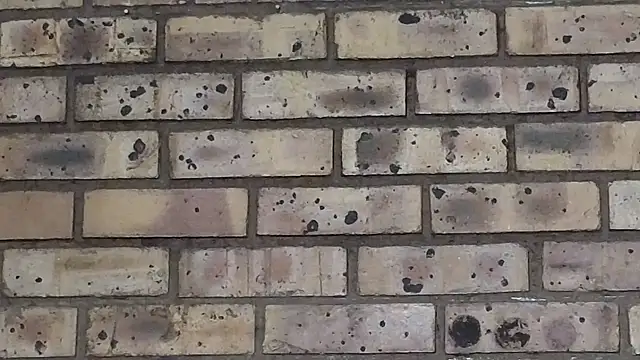 Astoria Moon online show from March 2025 07:09:01 PM