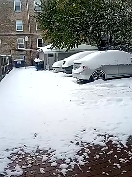 Snapshot of AmazonianMistress chatting on November 2025 07:35:01 PM AmazonianMistress online show from November 2025 07:35:01 PM