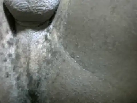 Snapshot of Whitelover chatting on February 2025 12:30:02 AM Whitelover online show from February 2025 12:30:02 AM