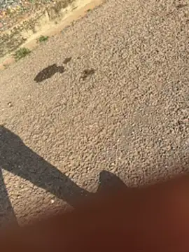 Black-mamba-madingo online show from September 2025 03:39:01 PM