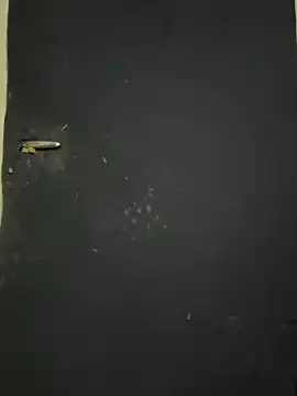 Black-mamba-madingo online show from October 2025 12:25:01 PM