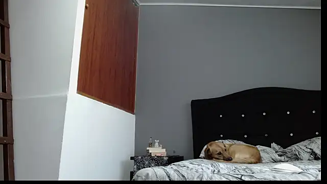 Emilia 1995 online show from January 2025 10:41:01 PM