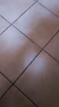 Snapshot of ZorraidaGiroNina chatting on February 2025 04:10:01 PM ZorraidaGiroNina online show from February 2025 04:10:01 PM