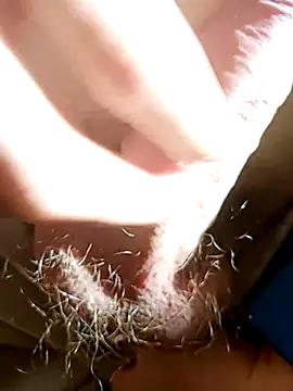 NudeYogaBoy online show from January 2025 12:31:01 PM