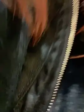 RinaCat online show from December 2024 08:33:02 AM