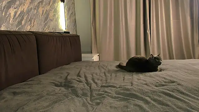 laflamebella online show from September 2025 05:07:01 PM