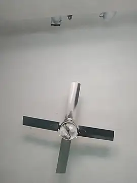 Snapshot of nicedick_bro chatting on October 2025 06:38:02 PM nicedick bro online show from October 2025 06:38:02 PM