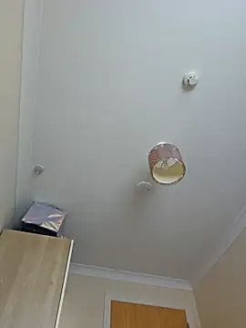 meateater1 online show from November 2025 10:39:02 AM