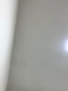 Snapshot of LinnaGardenia chatting on October 2025 05:41:02 PM LinnaGardenia online show from October 2025 05:41:02 PM