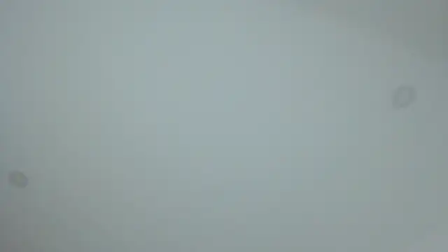 dollface17 online show from January 2025 11:55:02 PM