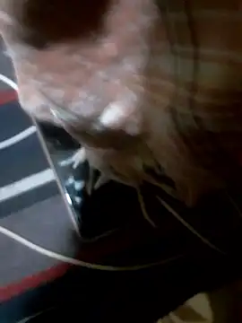 Rojatelugu89 online show from January 2026 01:35:02 PM