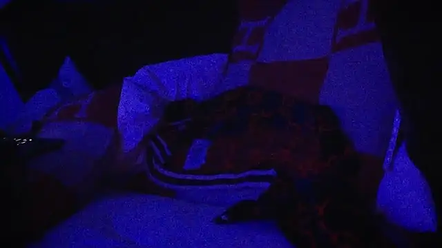 YouLikeBigDick9 online show from March 2025 07:41:01 AM