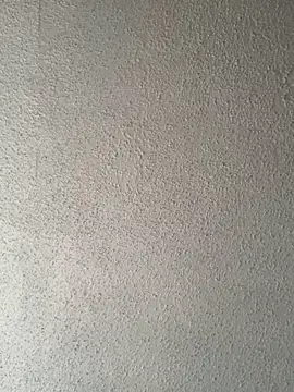 Snapshot of Miguel16i chatting on February 2025 05:57:01 PM Miguel16i online show from February 2025 05:57:01 PM