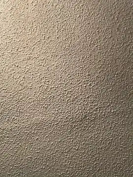 Snapshot of Miguel16i chatting on March 2025 07:32:02 AM Miguel16i online show from March 2025 07:32:02 AM