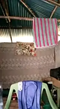 Brian johns online show from December 2024 12:04:01 PM