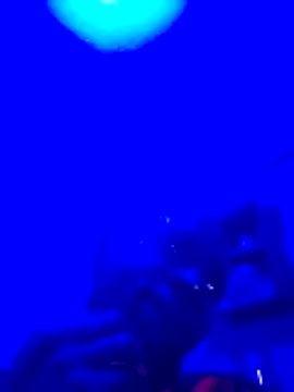 Brian johns online show from March 2026 09:08:01 PM