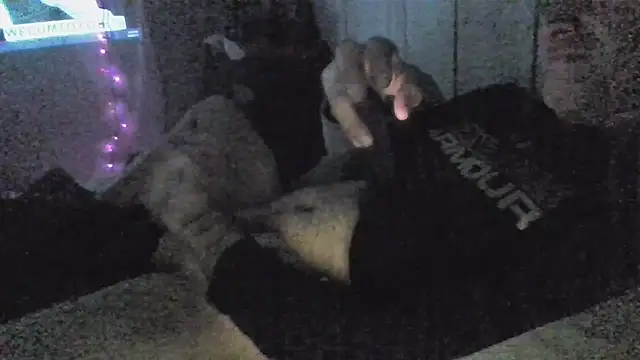 jaxx12369 online show from December 2025 06:55:02 AM