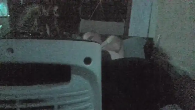 Snapshot of jaxx12369 chatting on February 2026 07:01:01 PM jaxx12369 online show from February 2026 07:01:01 PM