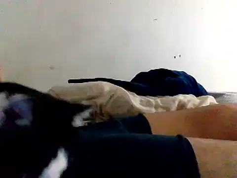 Snapshot of yass56789 chatting on November 2025 11:54:02 PM yass56789 online show from November 2025 11:54:02 PM