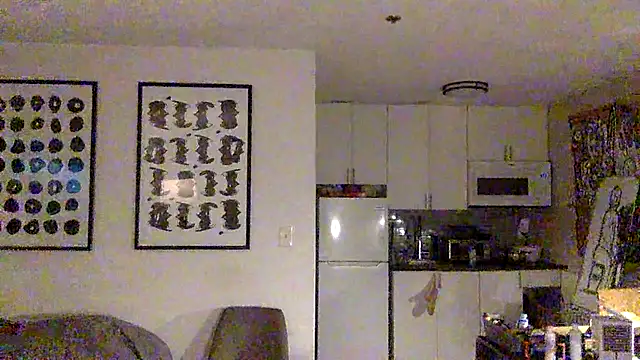 TheOnlyTwinTowers online show from April 2026 04:51:01 AM