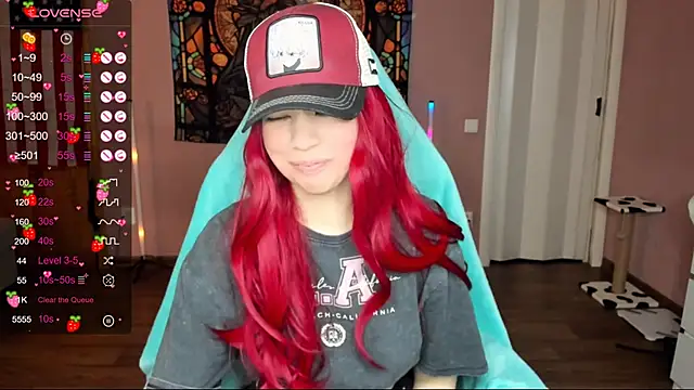 Project hisoka online show from January 2025 02:33:01 AM