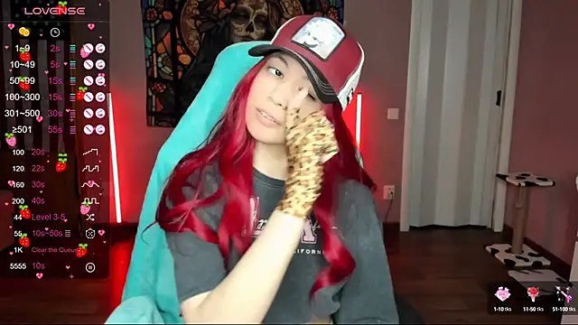 Project hisoka online show from January 2025 01:30:01 PM