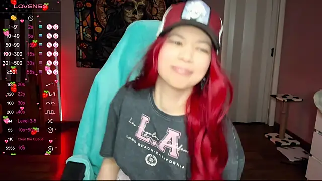 Project hisoka online show from January 2025 04:35:01 PM