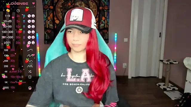 Project hisoka online show from January 2025 11:22:01 AM