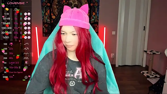 Project hisoka online show from January 2025 02:52:01 PM