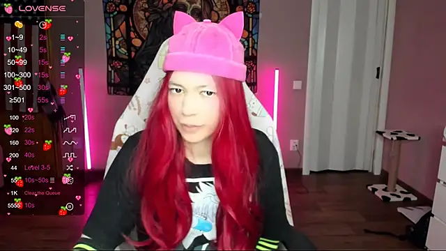 Project hisoka online show from January 2025 10:02:01 AM