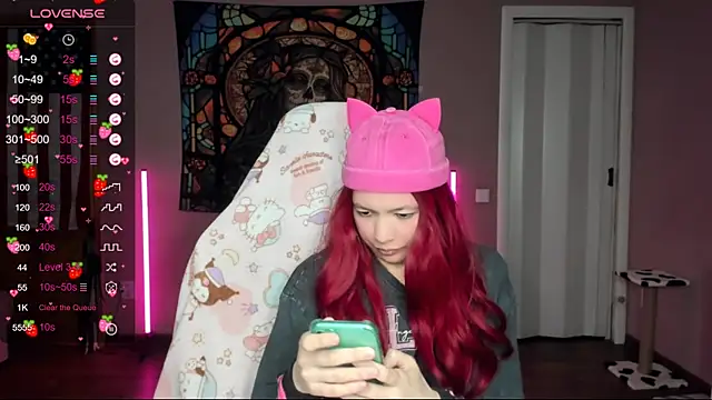 Project hisoka online show from January 2025 05:32:01 AM