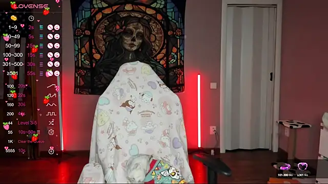 Project hisoka online show from January 2025 02:03:02 PM